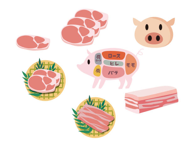 Illustration of pork Vector illustration roasted prime rib illustrations stock illustrations