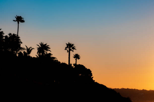 The bright orange sun peaks over the horizon and the early morning sunlight reflects in the waves of the Pacific Ocean. Silhouetted palm trees decorate the cliffs of Malibu's La Piedra State Beach.The photo is taken from high on the cliffs looking down on the beach. There are no clouds in the sky, and no people on the beach.