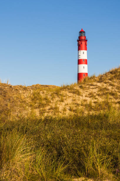 istock Amrum Lighthouse, Island of Amrum, Germany 1207440041