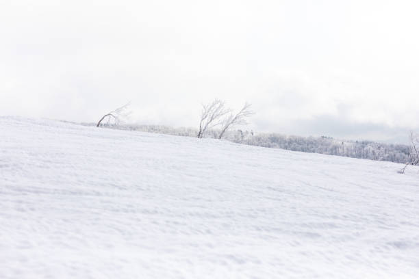 istock ski resort,akita prefecture in japan 1207442984