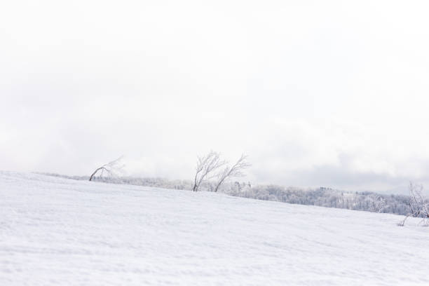 istock ski resort,akita prefecture in japan 1207443077