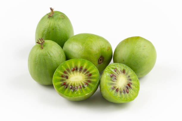 frutas kiwi resistentes aisladas en el espacio de copia blanca - hardy fotografías e imágenes de stock