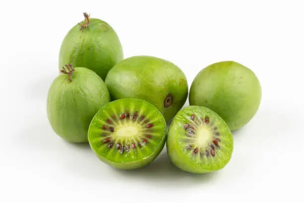 composition of fresh hardy kiwi fruits isolated on white copy space
