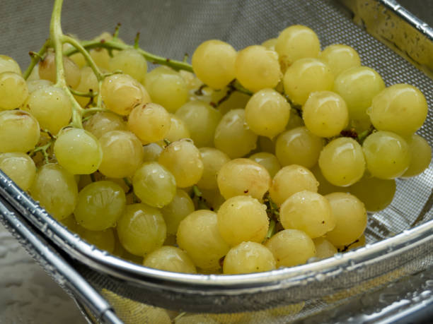 washed yellow table grapes in a strainer closeup
