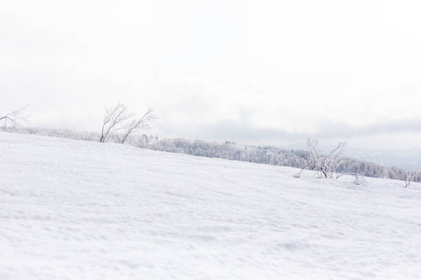 istock ski resort,akita prefecture in japan 1207443242