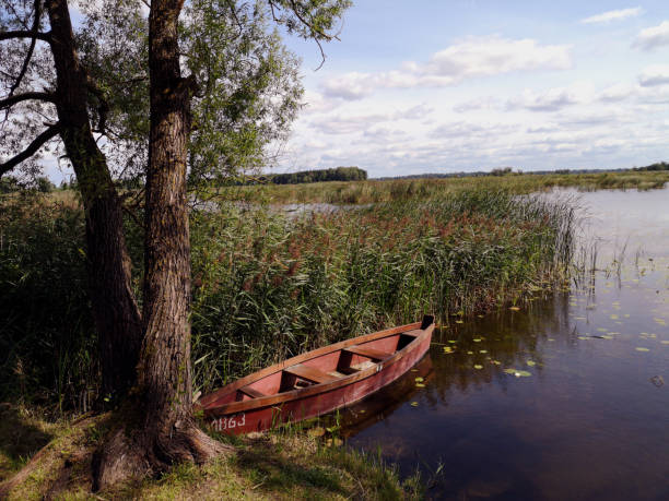 altes holzboot am seeufer in der sommersaison - 7589 stock-fotos und bilder