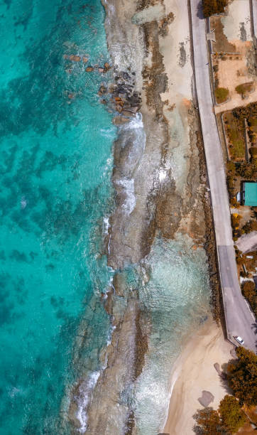 istock Overhead panoramic view of Seychelles beach and coastline 1207444983