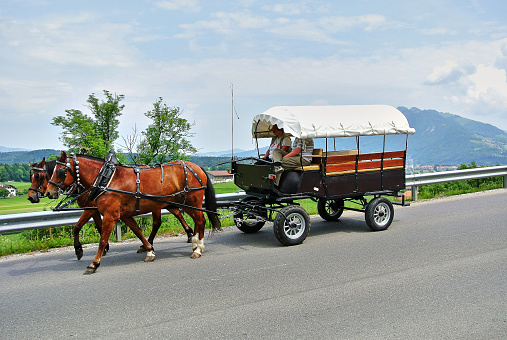 Gruyeres, Switzerland - 06.23.2014: A cart on wheels with two brown horses, a cart of two men, in the background green meadows and alpine mountains, blue sky in the summer afternoon.