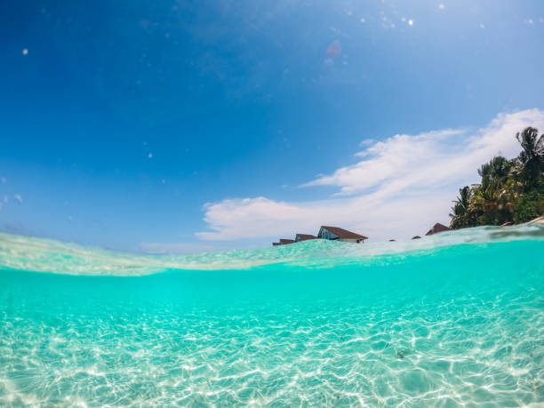 istock Close up of Waves in the Ocean 1207446990