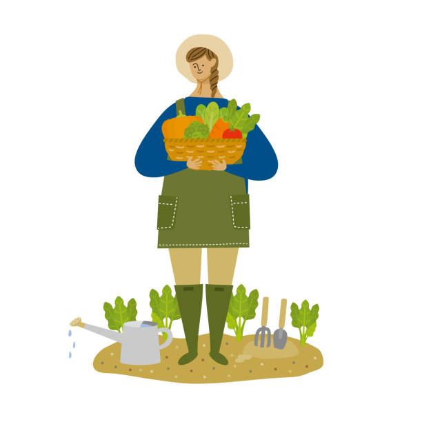 Woman harvesting vegetables with a smile Woman harvesting vegetables with a smile community garden sign stock illustrations