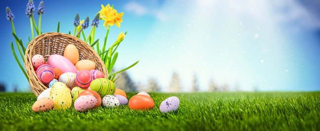 Easter Eggs Outdoor in a Basket. Fresh Grass, Spring Flowers and Blue Sky.