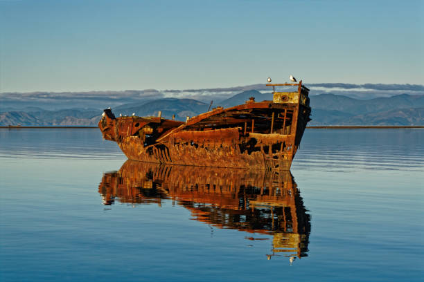 Janie Seddon shipwreck, Motueka, New Zealand. Janie Seddon shipwreck glowing in the evening sunlight, Motueka, New Zealand motueka stock pictures, royalty-free photos & images
