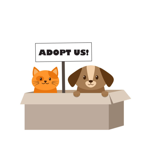 3,943 Dog Shelter Illustrations & Clip Art - iStock | Cat dog shelter, Animal  shelter, Dog adoption