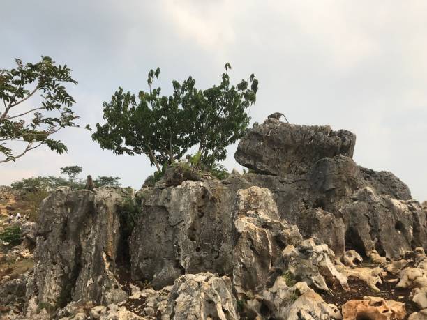 istock The rock hills and tree from megalith geopark Indonesia 1207453570
