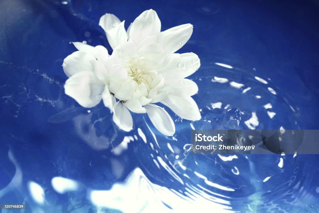 Flor na água - Foto de stock de Abstrato royalty-free