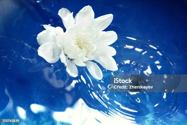Foto de Flor Na Água e mais fotos de stock de Abstrato - Abstrato, Azul, Beleza natural - Natureza