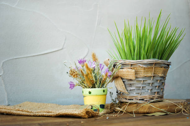 istock Meadow flowers and herbs on a table 1207458397