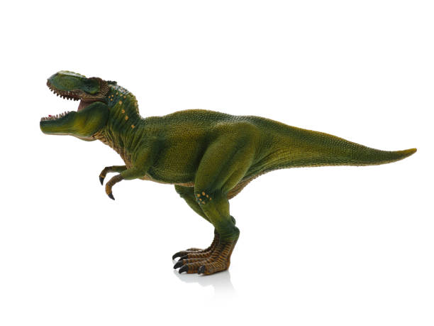 istock green tyrannosaurus 1207458423