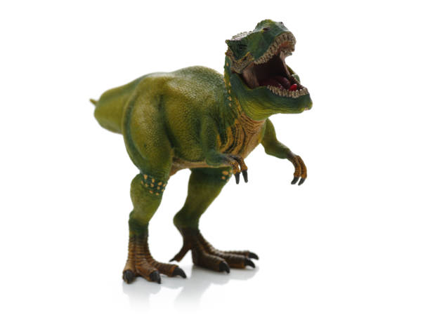 Dinosaur rouble toy isolated on white.