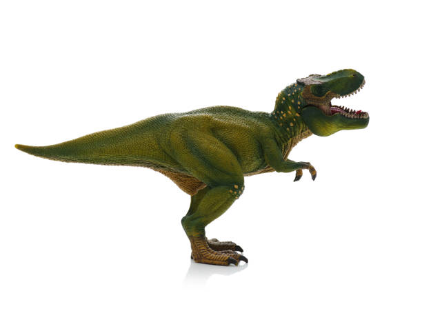 istock green tyrannosaurus 1207458633