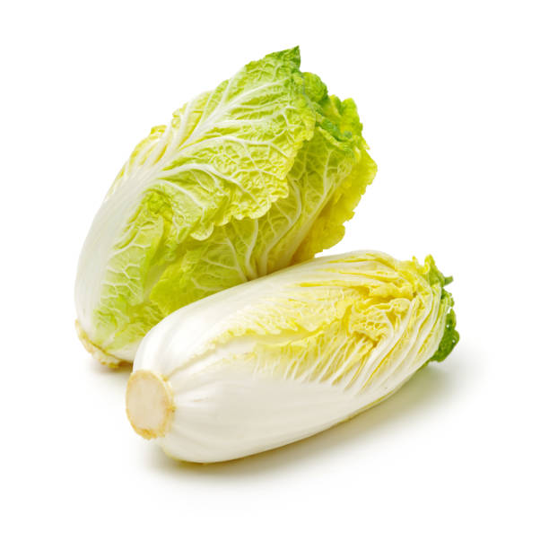 istock Mini Tientsin Pakchoi 