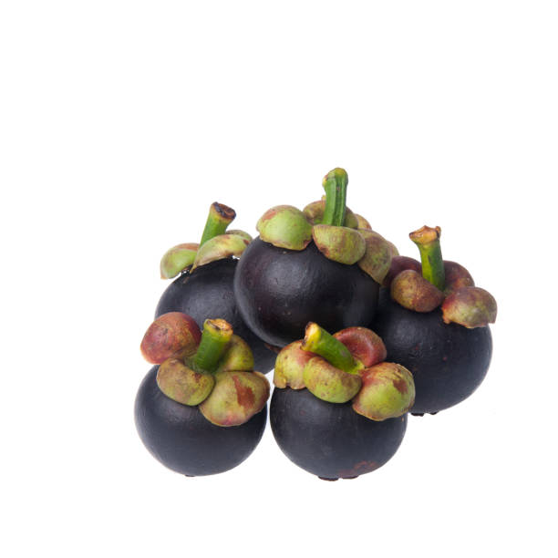 istock mangosteen with concept on background 1207459875
