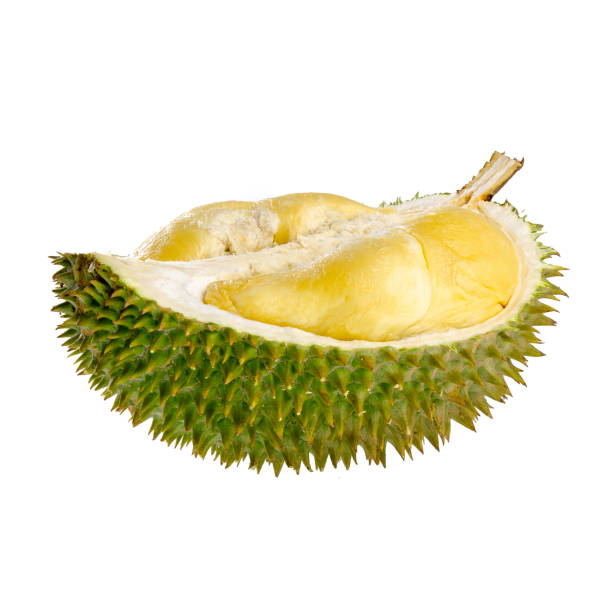 istock durian with concept on background 1207459981