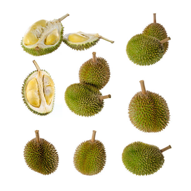 istock durian with concept on background 1207460316