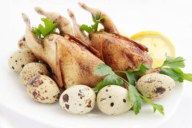 quail