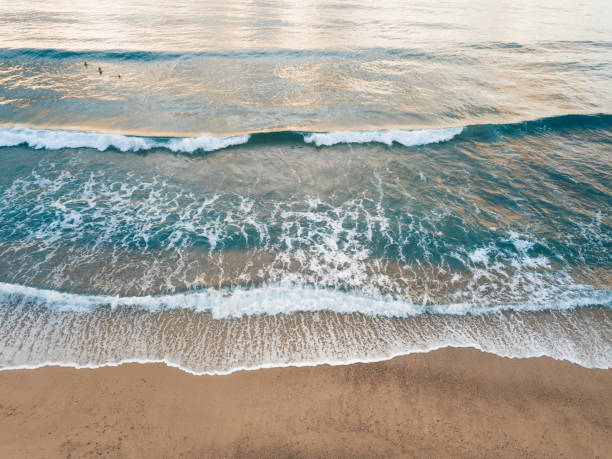 istock Aerial view of the beach 1207464067