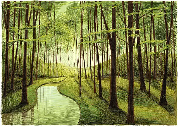 Vector illustration of spring forest