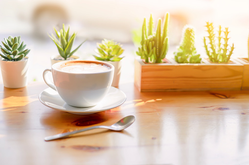 latte coffee in a classic white coffee cup on the old vintage wooden table background in a coffee shop decoration with cactus green leaf for refreshing in a morning break and relaxing with copy space