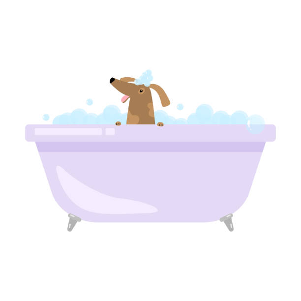 Cute funny home dog is taking bath in bathtub Cute funny home dog is taking bath in foam bathtub. Flat style. Vector illustration on white background bathtub illustrations stock illustrations