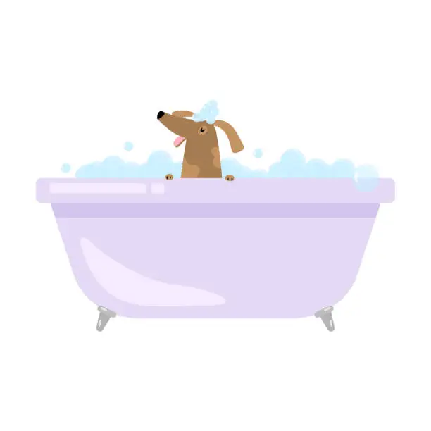 Vector illustration of Cute funny home dog is taking bath in bathtub