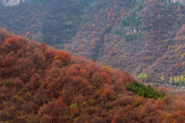 istock Red bean gorge natural landscape 1207470412