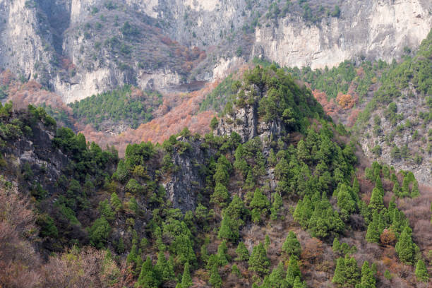 istock Red bean gorge natural landscape 1207470425