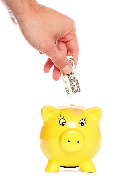 istock saving a dollar in paiigybank 120747662