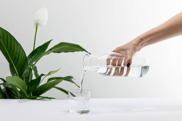 cropped view of woman pouring water from bottle in glass near green peace lily plant on white surface cropped view of woman pouring water from bottle in glass near green peace lily plant on white surface peace lily photos stock pictures, royalty-free photos & images