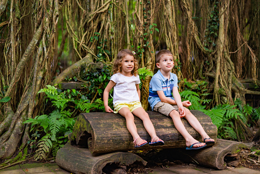 Boy and girl travelers discovering Ubud forest in Monkey forest, Bali Indonesia.