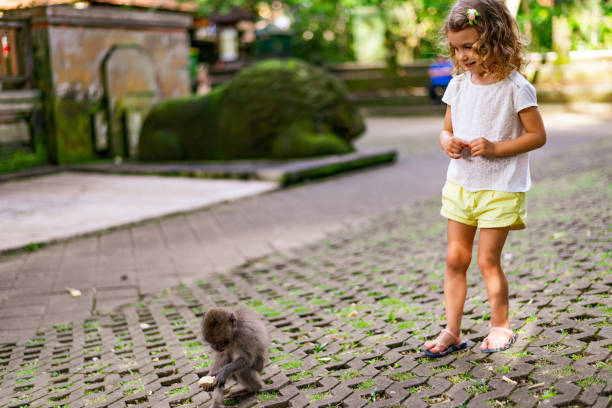 istock Little girl with Macaques in Sacred Monkey Forest, Ubud 1207478144