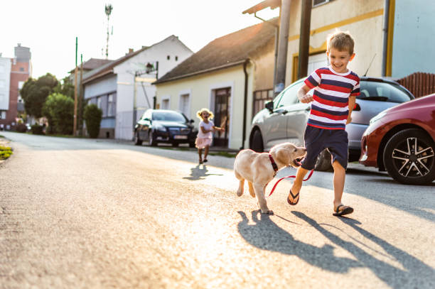 istock We are best friends! 1207479332