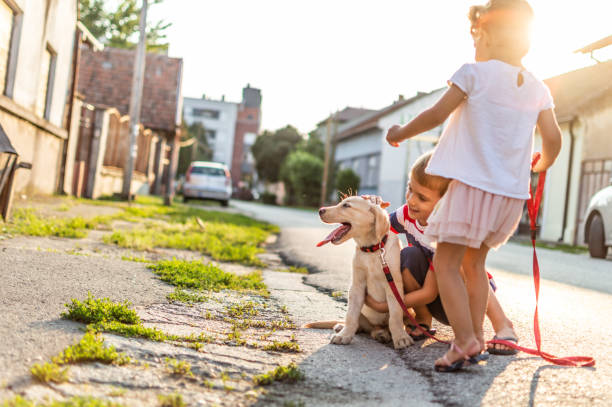 istock We are best friends! 1207479494