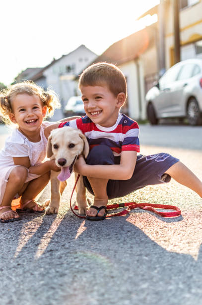istock We are best friends! 1207479880