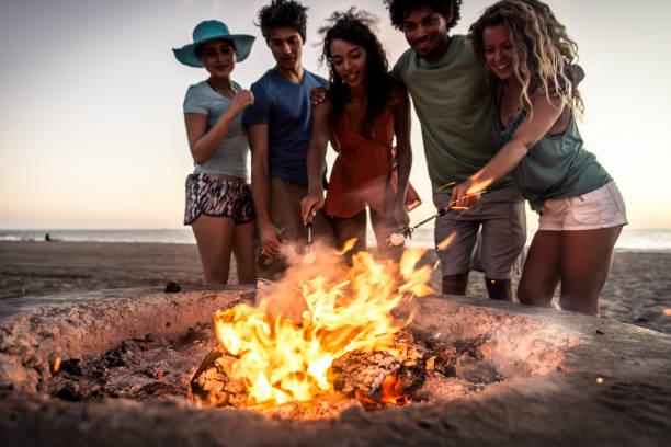 istock Group of friends having fun on the beach making a bonefire 1207479888