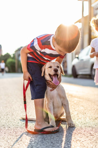 istock We are best friends! 1207479940