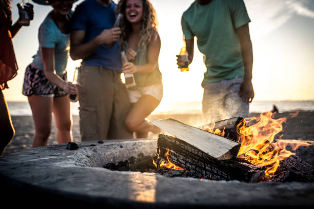 istock Group of friends having fun on the beach making a bonefire 1207480963