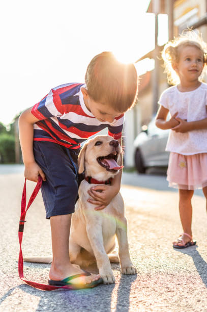 istock We are best friends! 1207481086