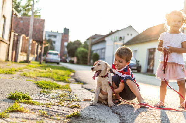 istock We are best friends! 1207481645