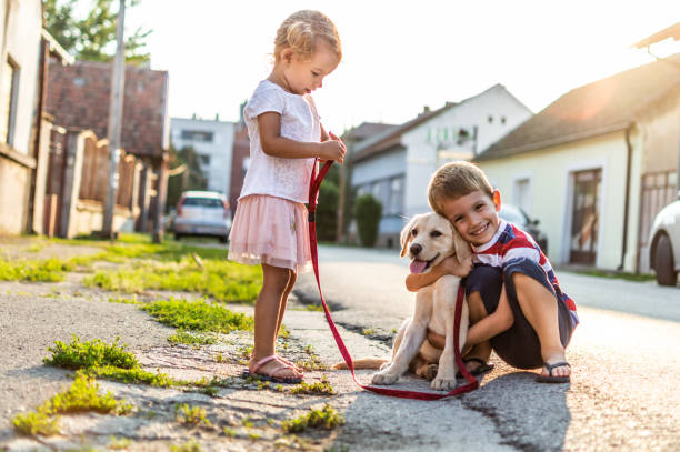 istock We are best friends! 1207481766