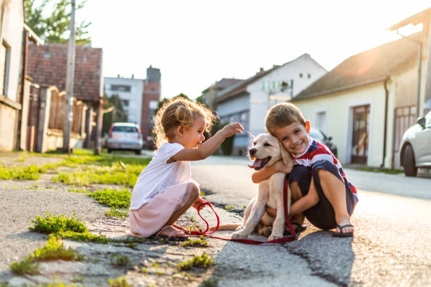 istock We are best friends! 1207483019